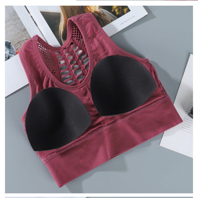 Womens Sports Bra Sexy Breathable Mesh Sports Top